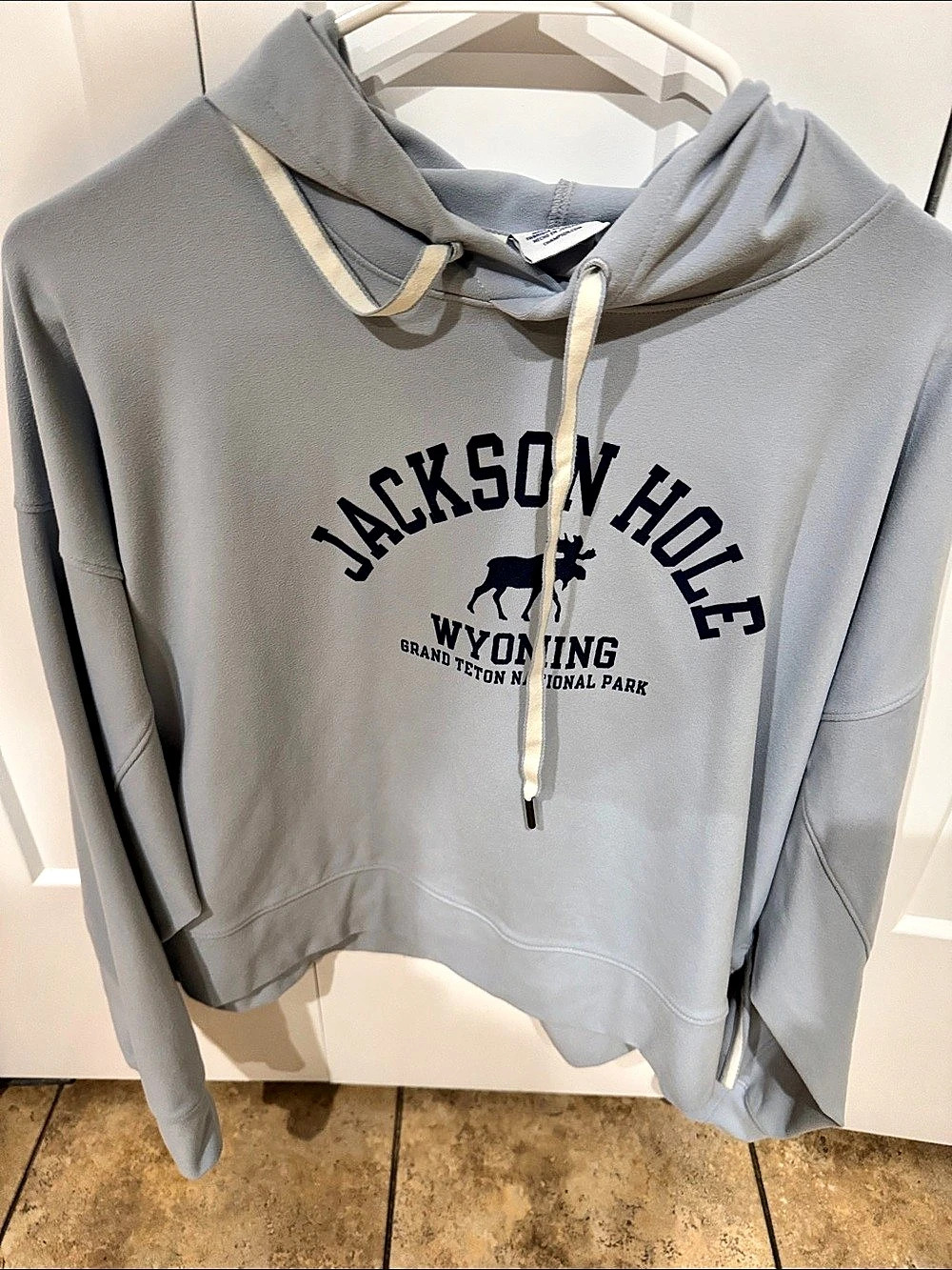 Champion Jackson Hole Wyoming Grand Teton National Park Hoodie Gray Medium